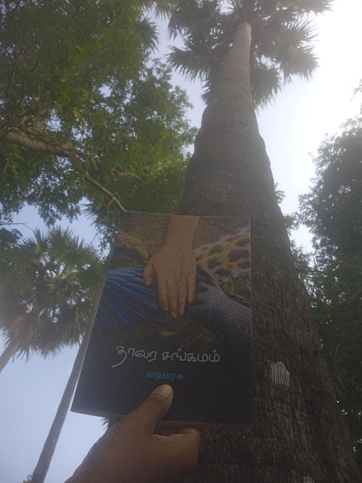 Vadivarasu launches his newest work, Thaavara Sangamam (“The Confluence of Plants”), beneath the shade of an ancient palmyrah in Navaly.
