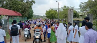 Over 50 Students, Teachers Injured in Wasp Attack at Kilinochchi School Despite Prior Warning