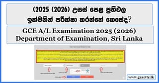 From Kilinochchi to Kattankudy, A/L Toppers Emerge Across the North and East