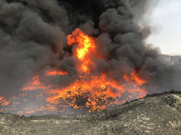 How Oil Writes History in Blood